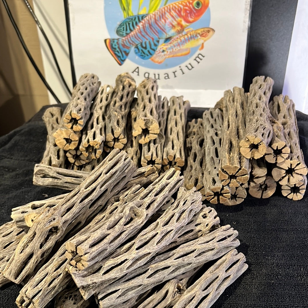 Cholla Wood