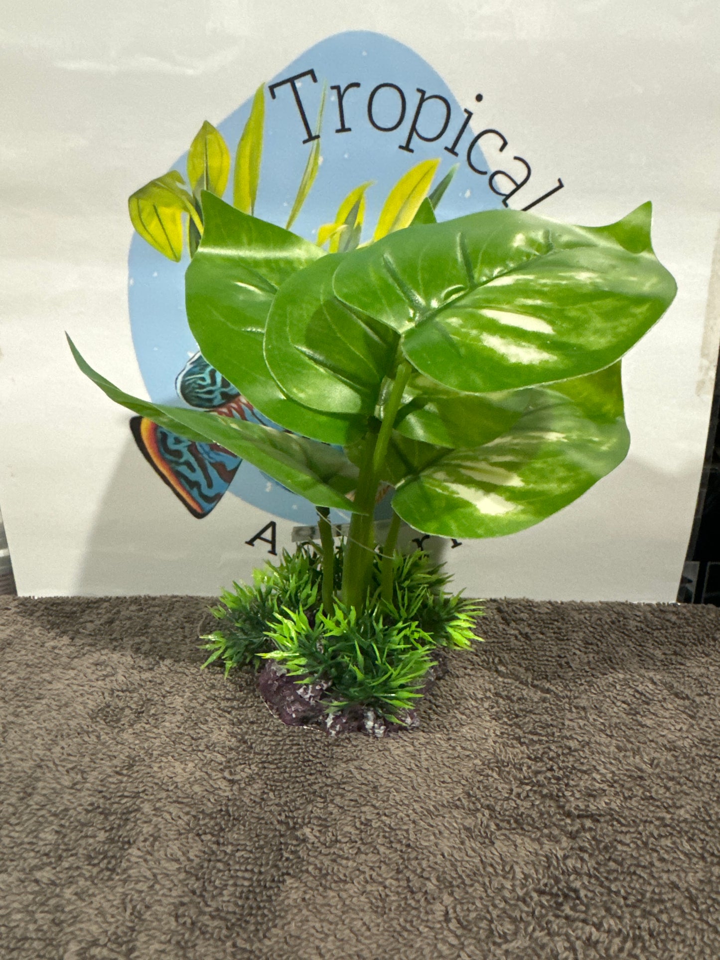 Aquatopia Plastic Plants