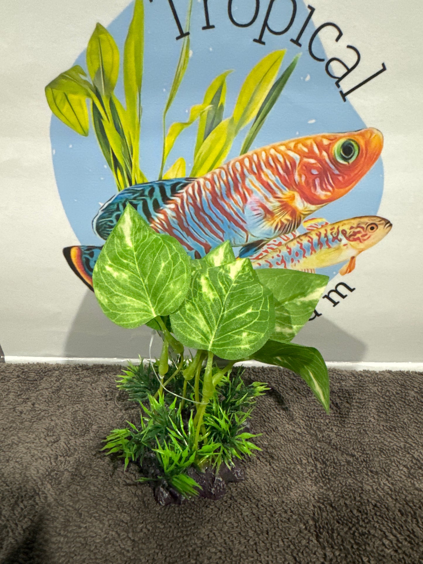 Aquatopia Plastic Plants