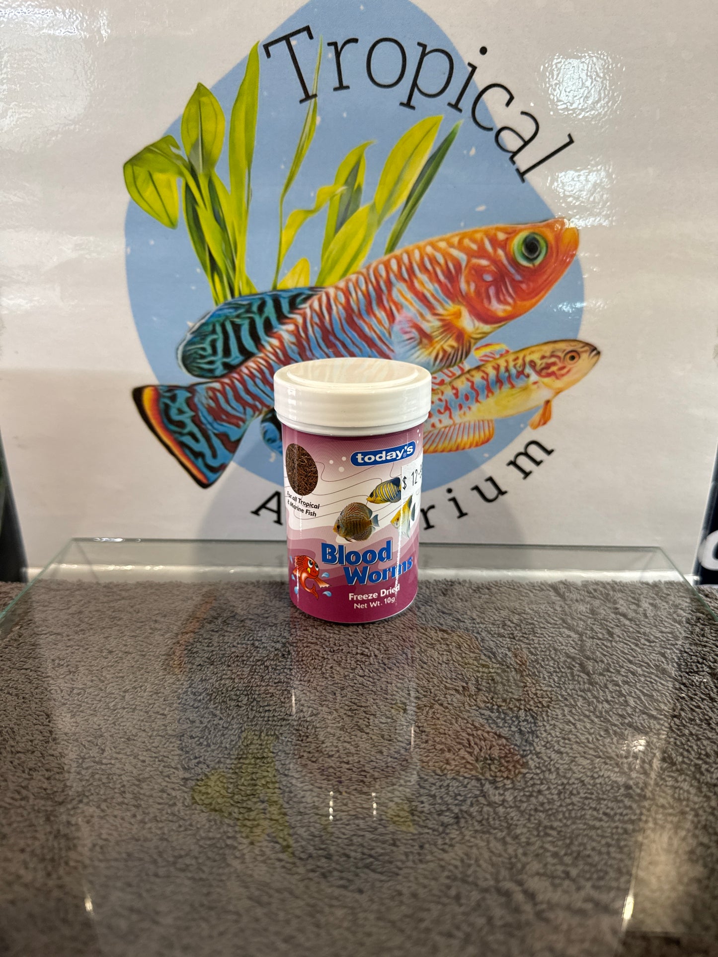 today's blood worms (freeze dried)
