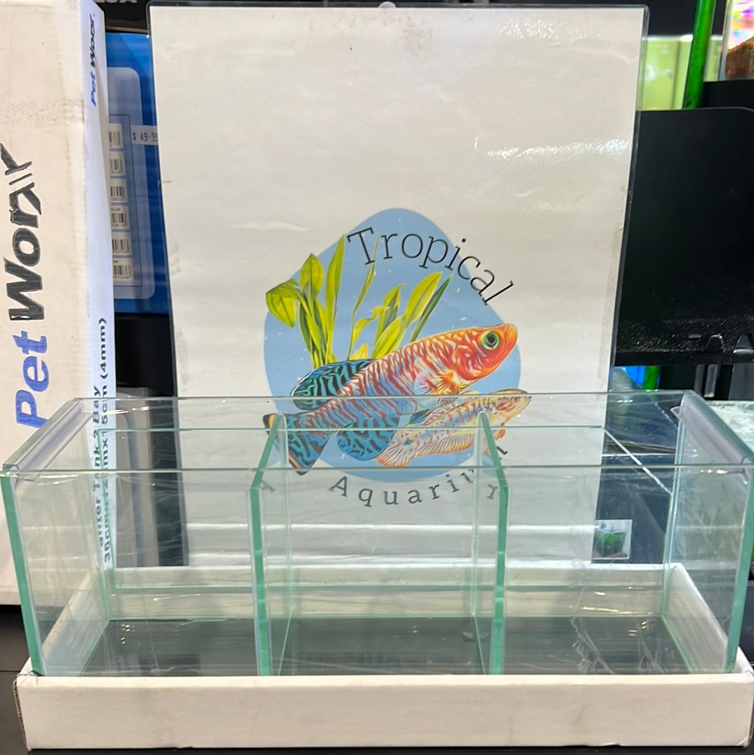 Petworx glass aquariums 3bay betta tank