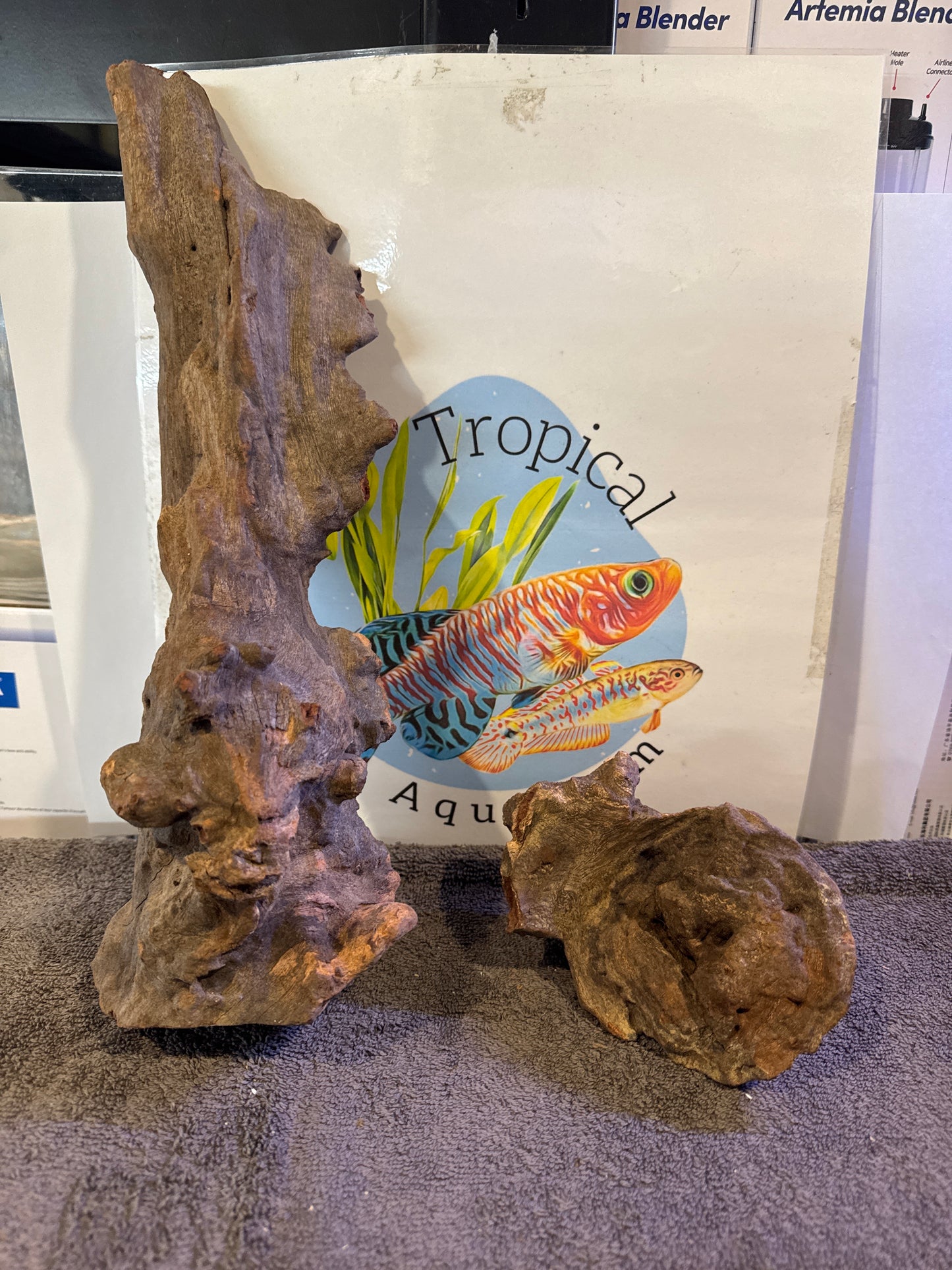 Orca Driftwood