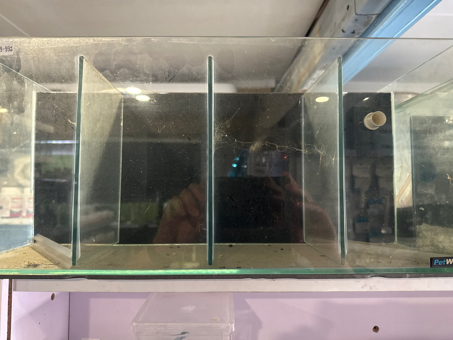 Petworx 4bay glass aquariums /betta tank with built in filter