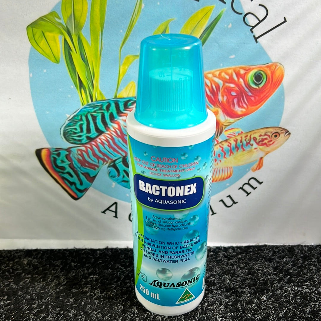 Aquasonic Bactonex