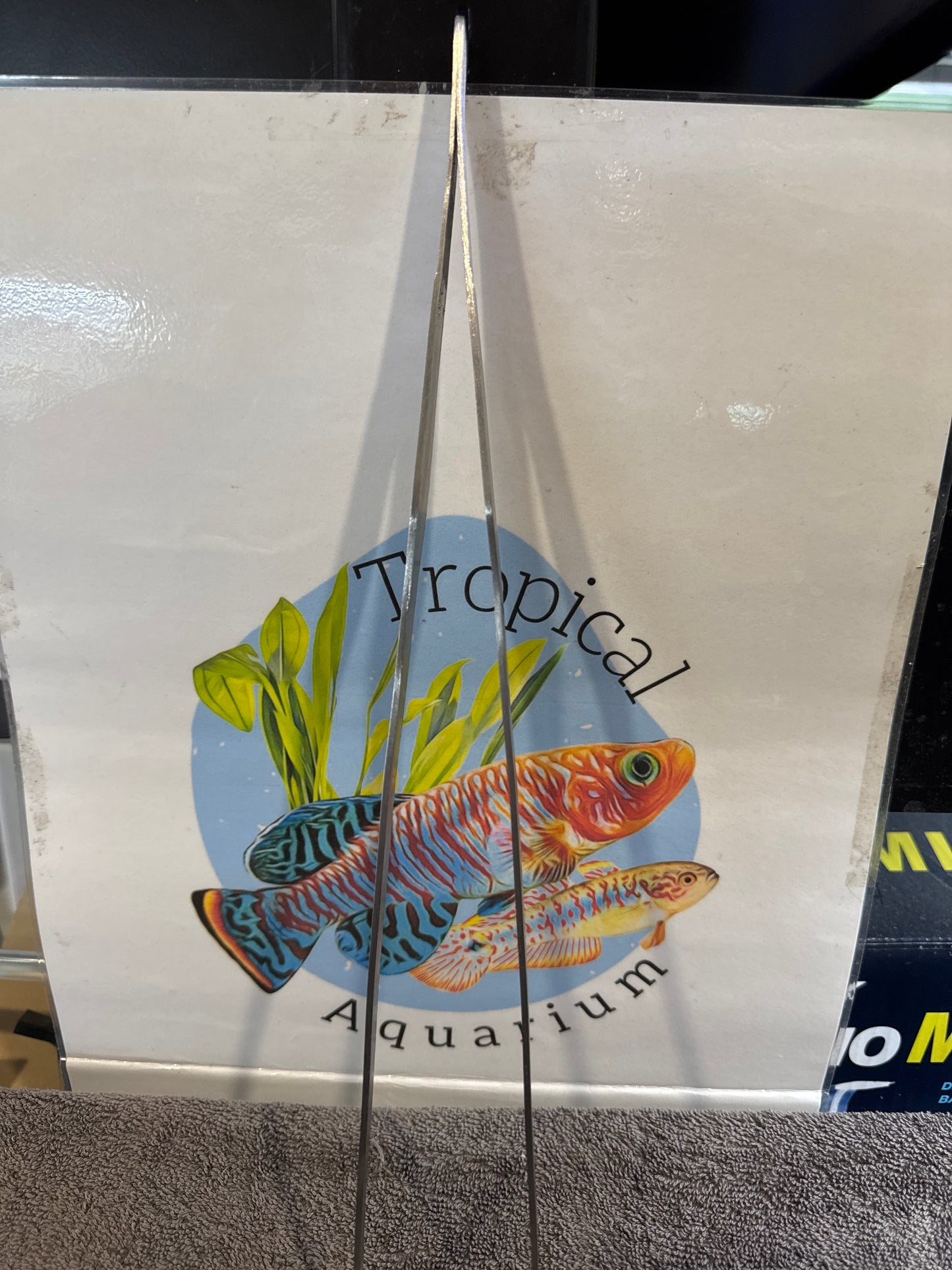 stainless steel aqua scaping tools tweezers
