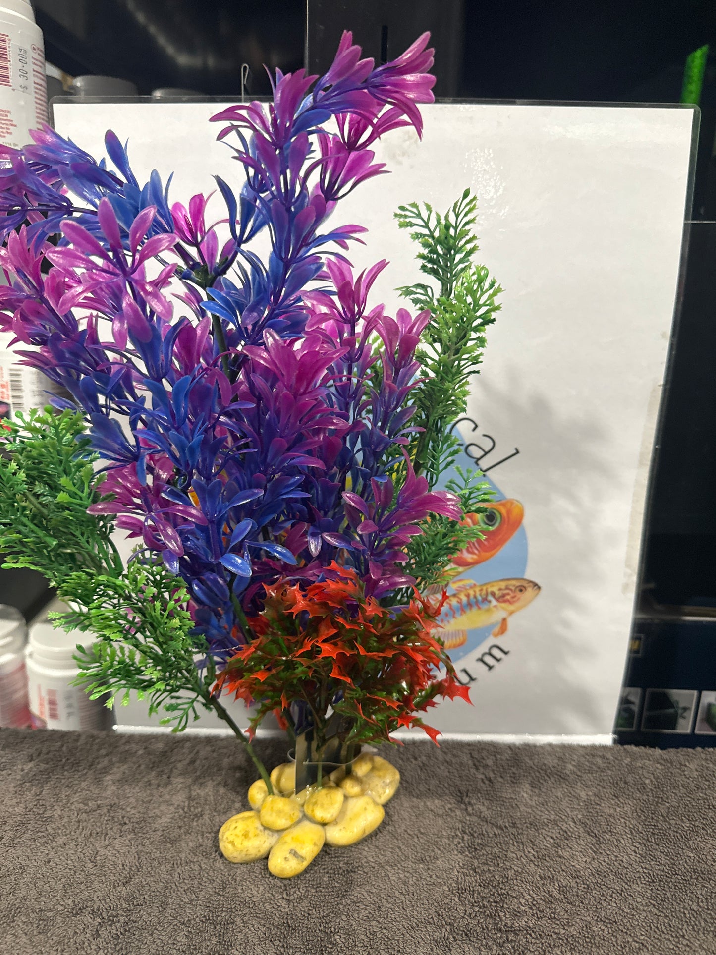 Aquatopia Plastic Plants