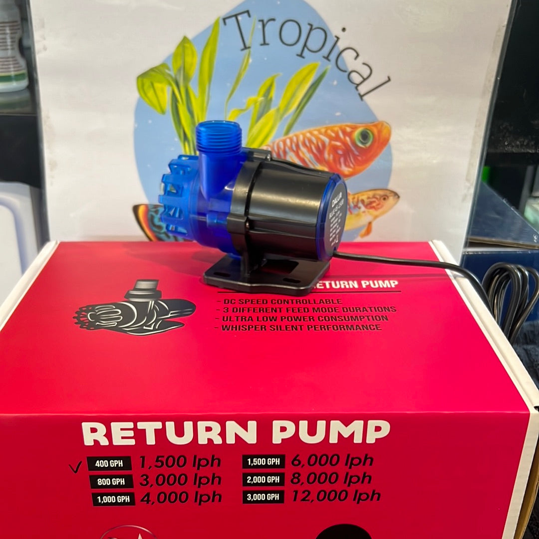 Dalua Great White Return Pumps