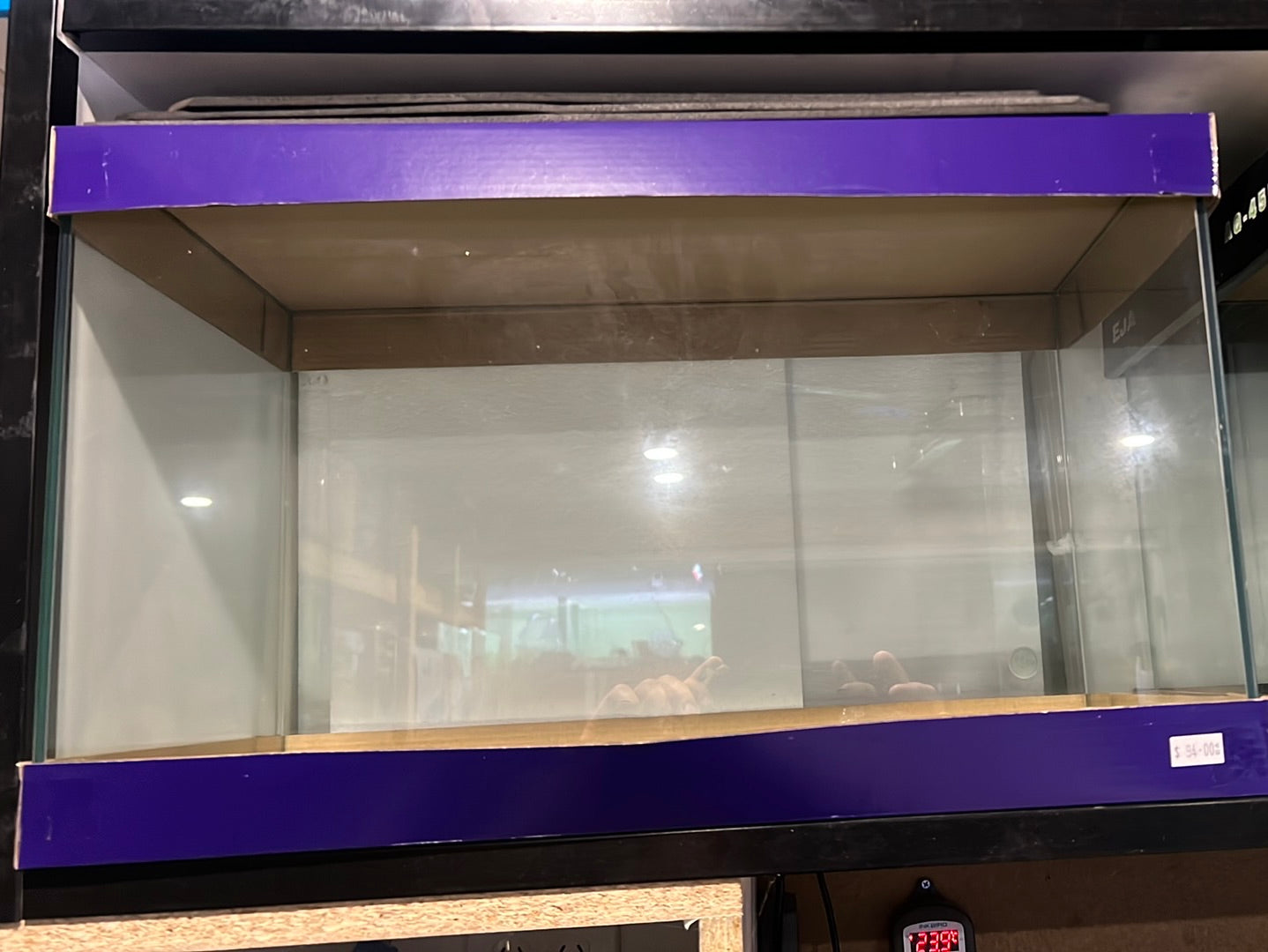 glass aquariums (purple box)