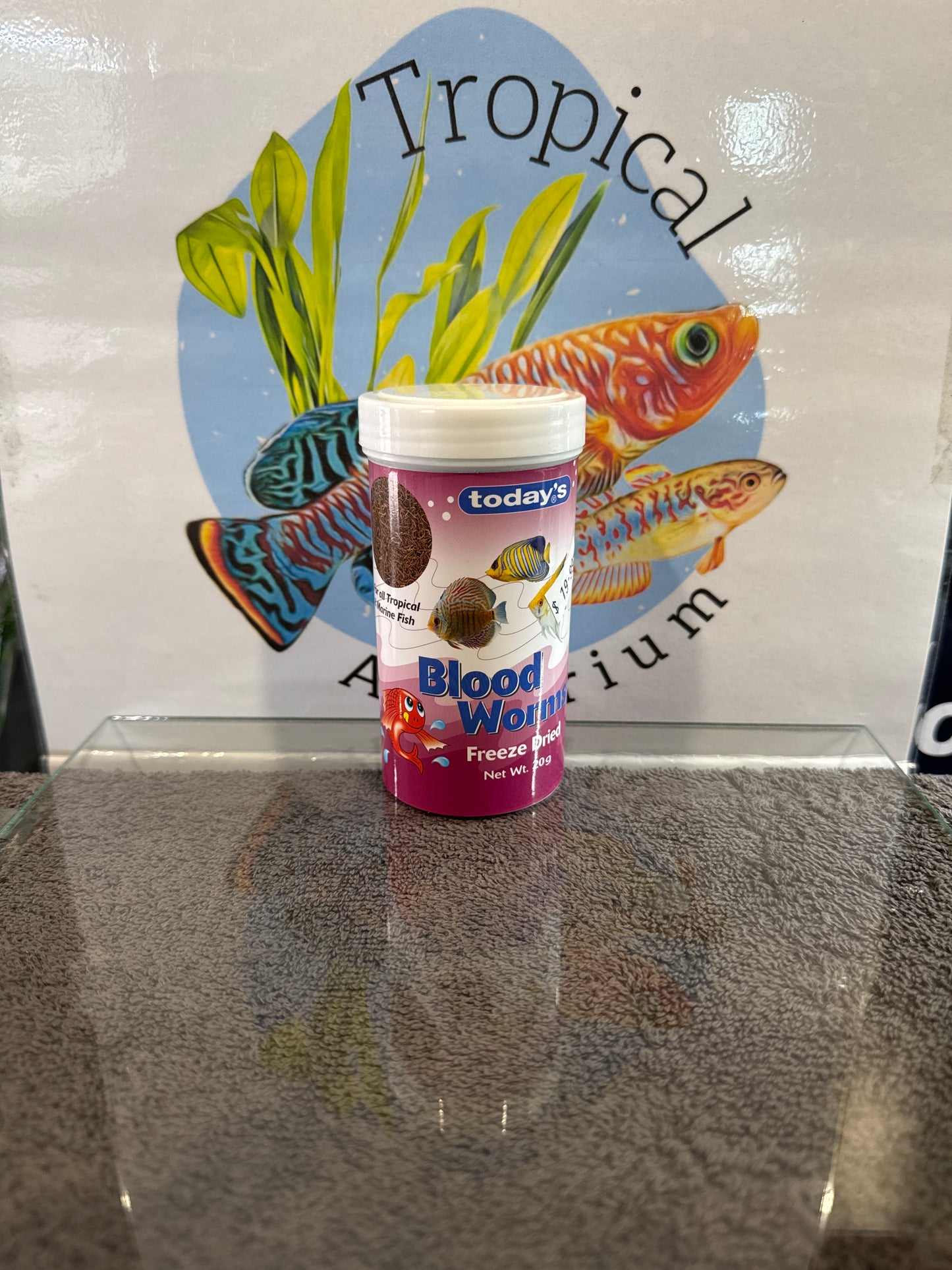 today's blood worms (freeze dried)
