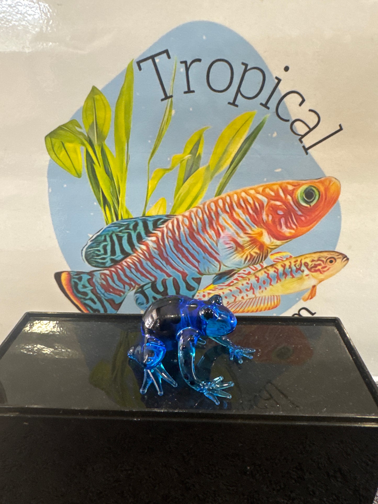 glass ornament dart frogs