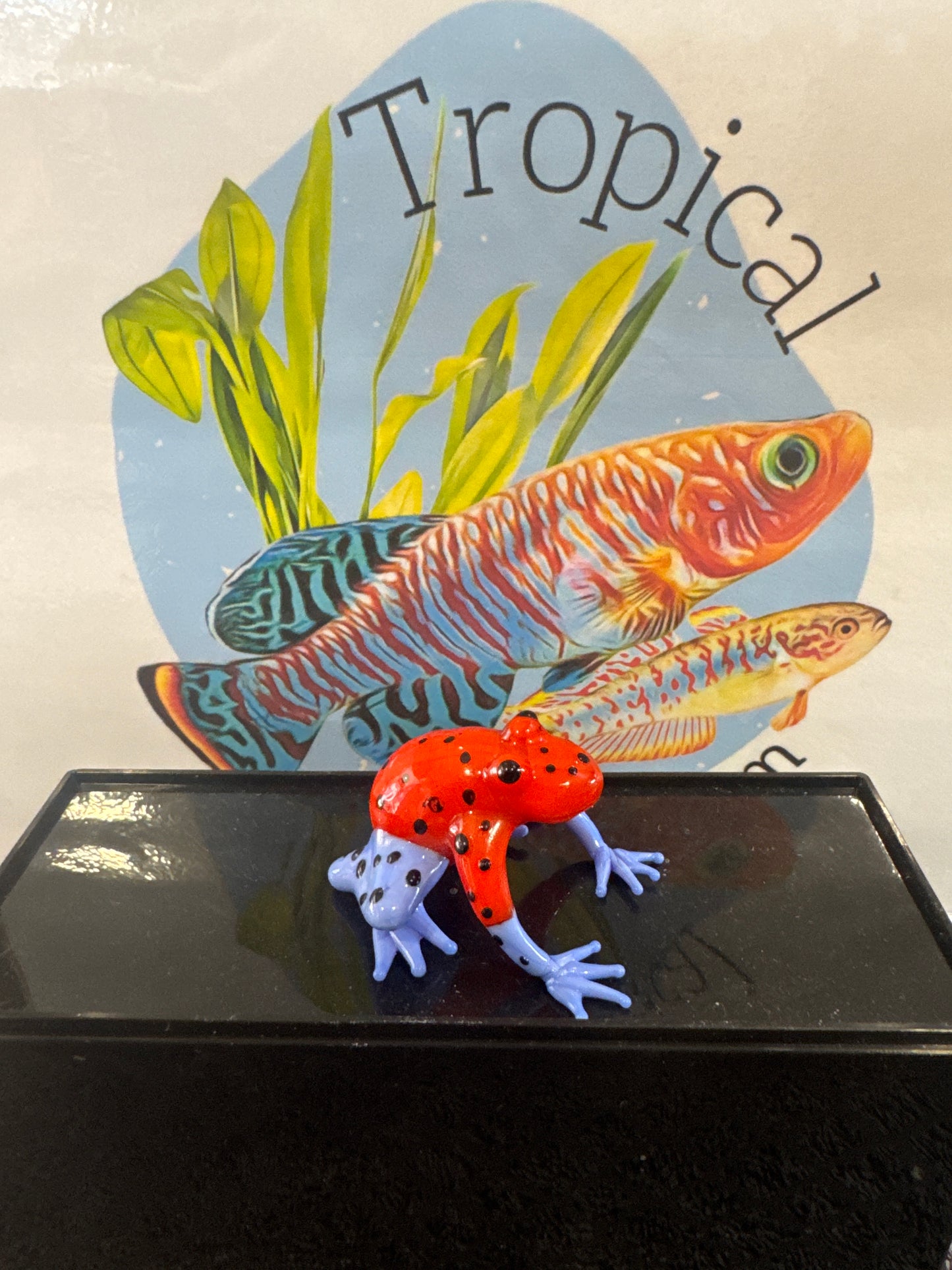 glass ornament dart frogs