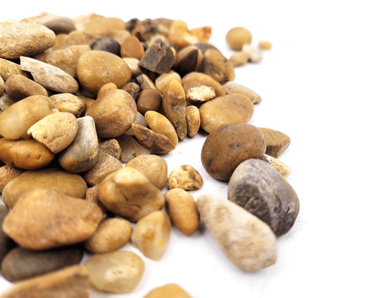 WIO 2kg Bumblebee Gravel