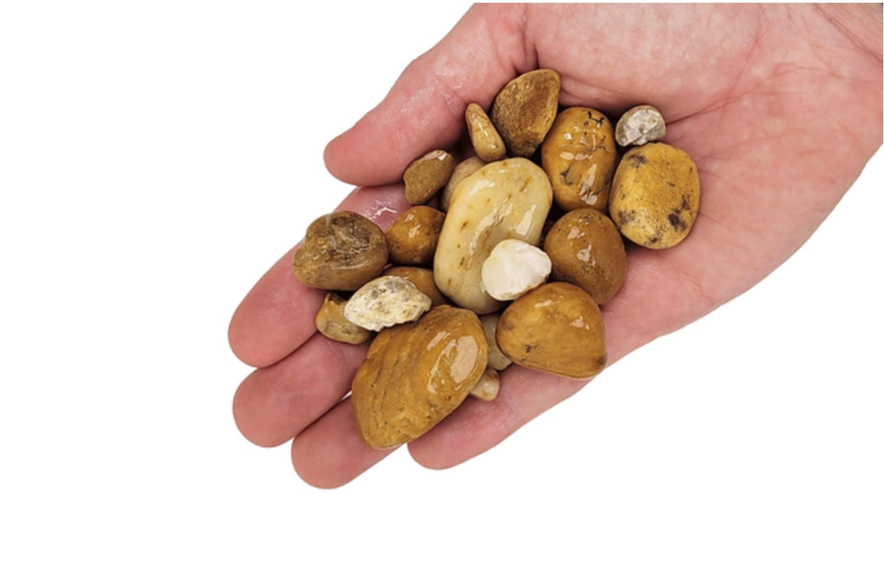 WIO 2kg Bumblebee Gravel