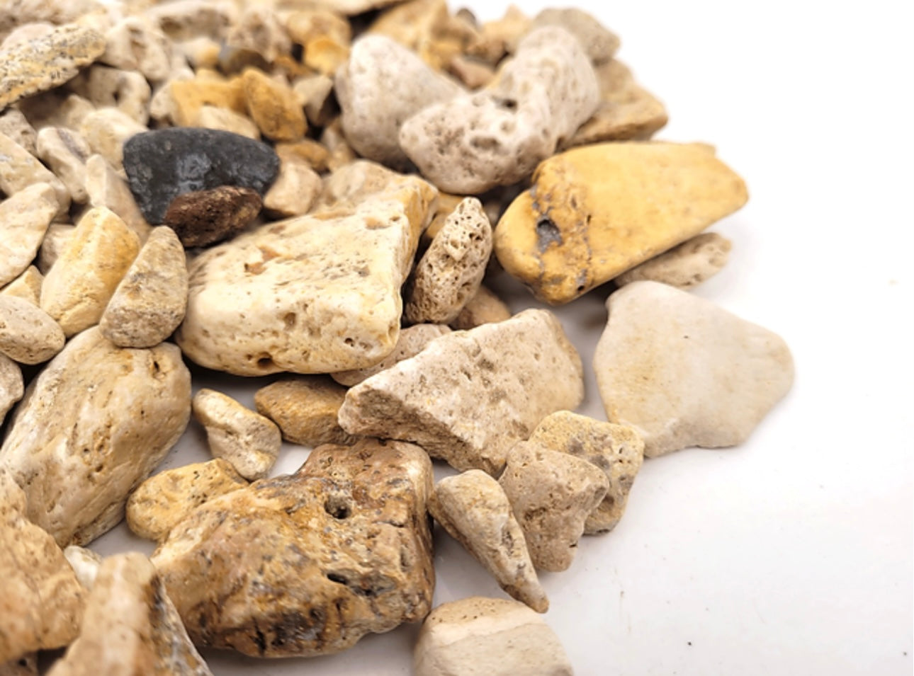 WIO 2kg White Adder Gravel