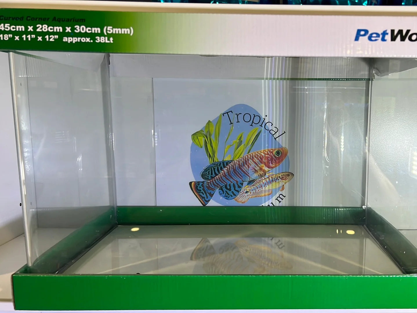 Petworx glass aquariums curved corner