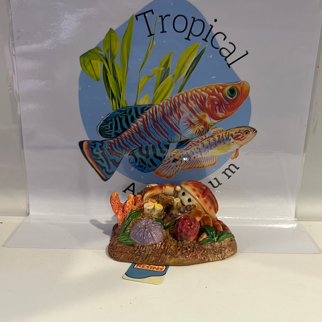 Sea world ornaments