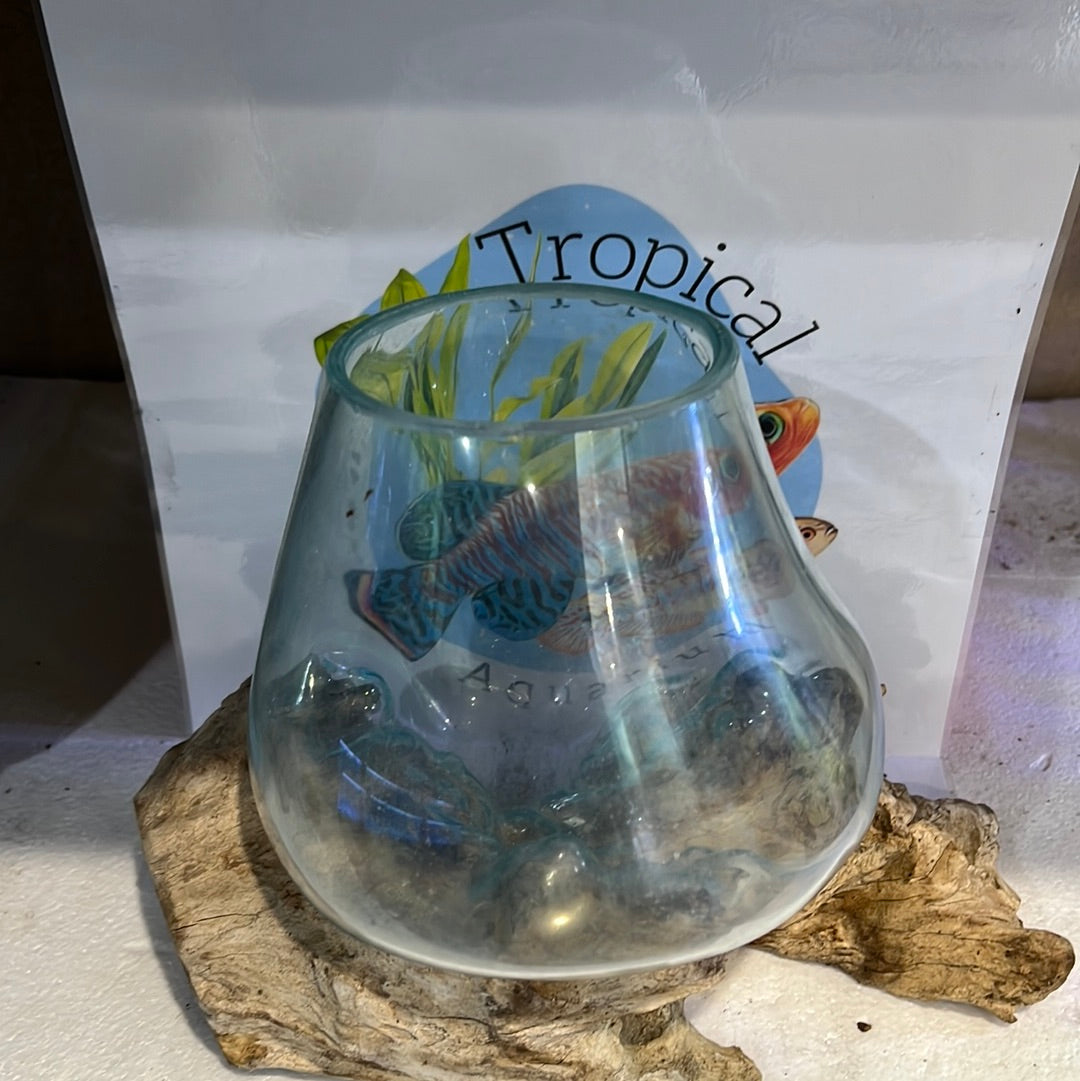 Glass fish bowls on wood