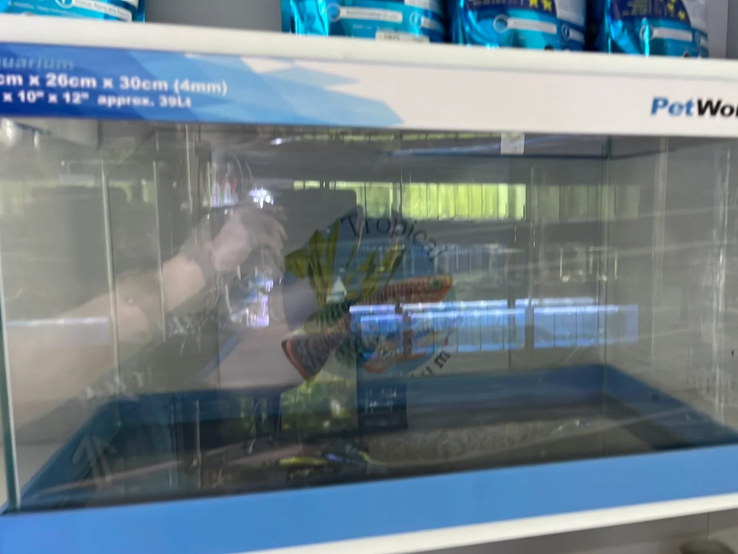 Petworx glass aquariums