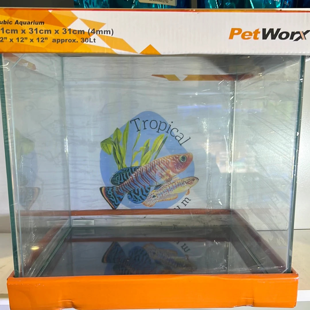 Petworx glass aquariums cube