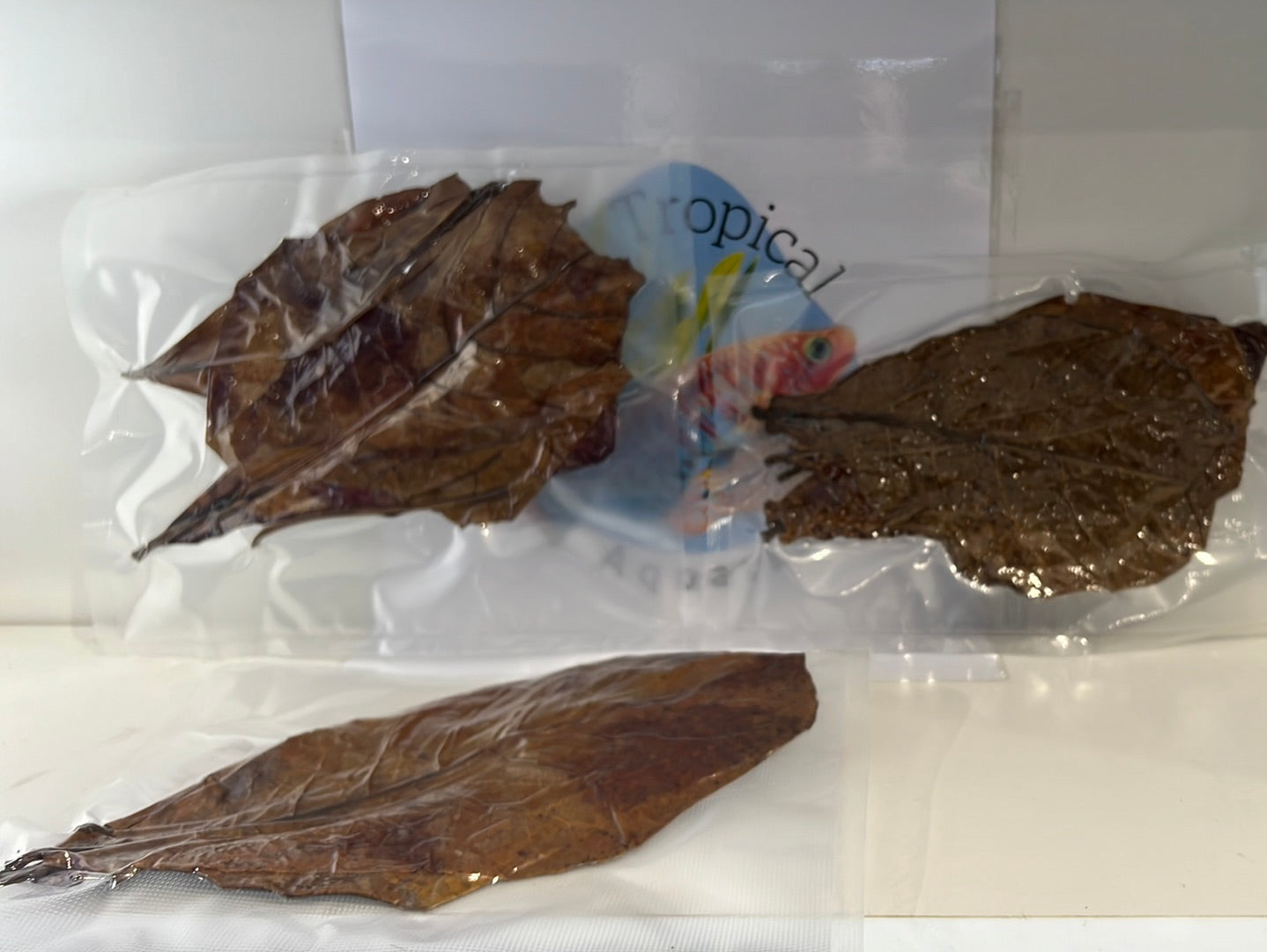 Indian almond leaves