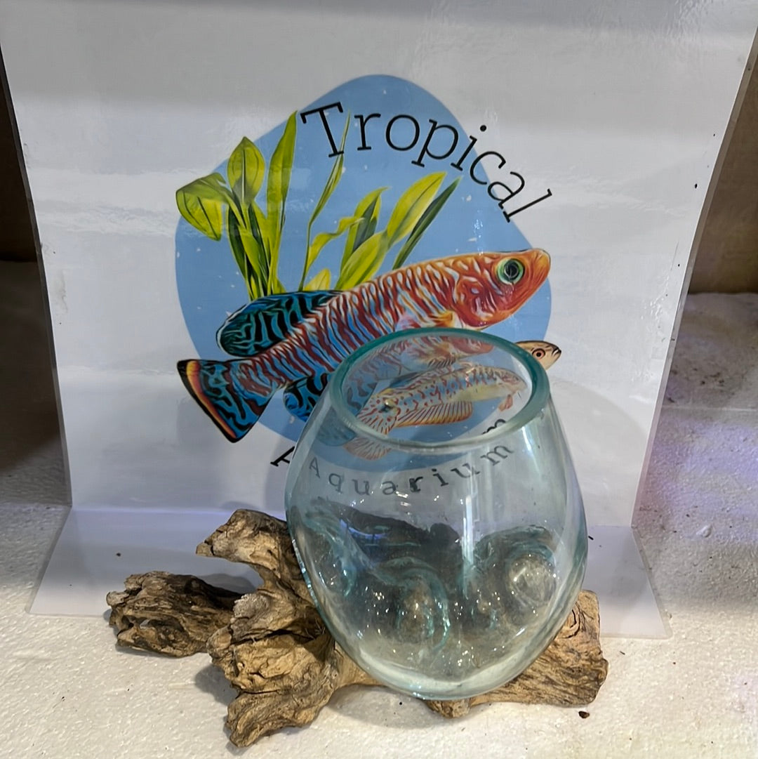 Glass fish bowls on wood