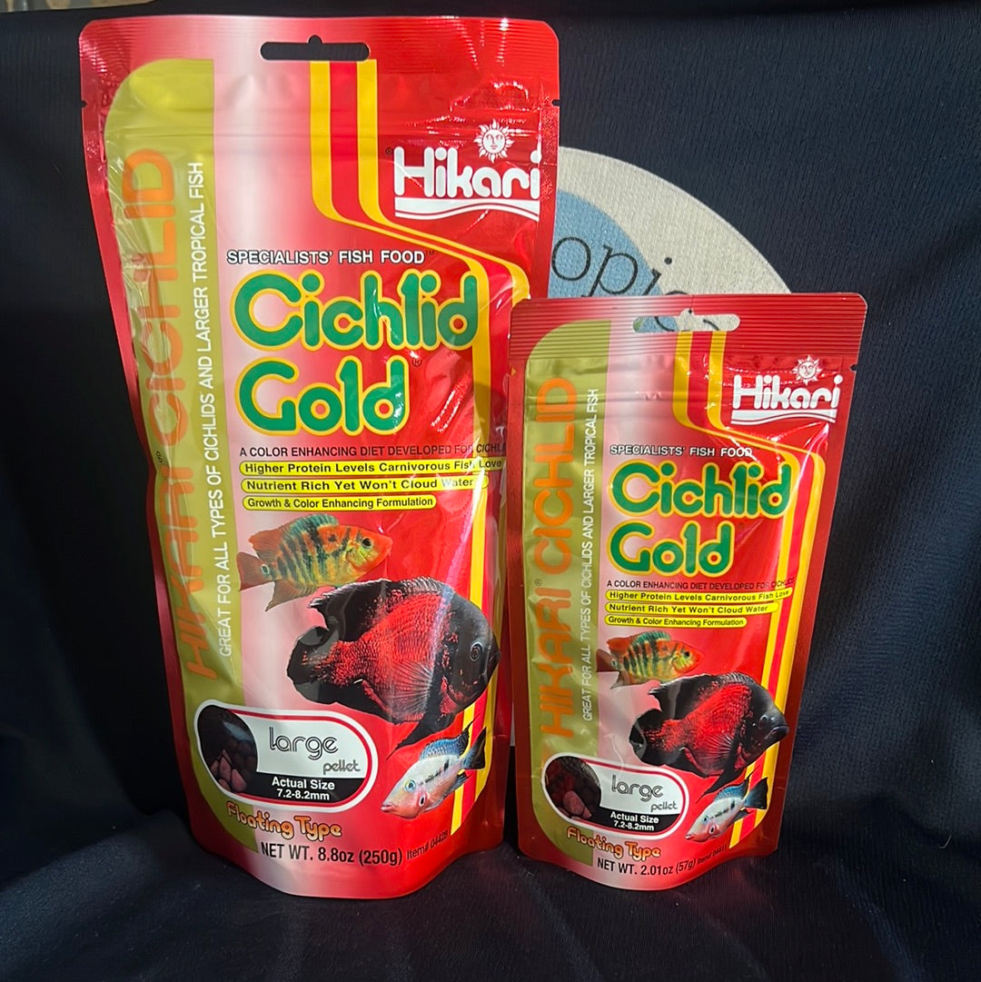 Hikari Cichlid Gold Large