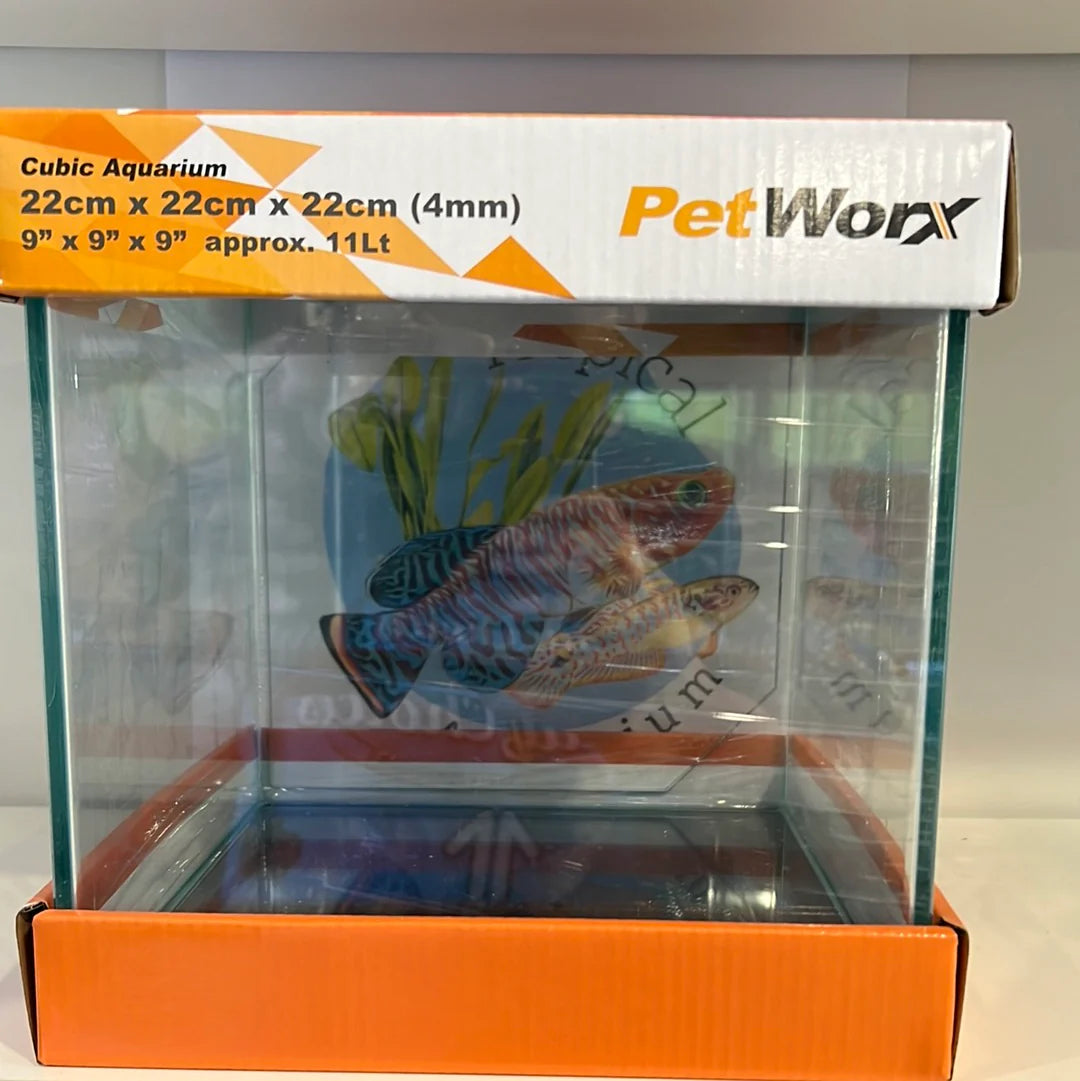 Petworx glass aquariums cube