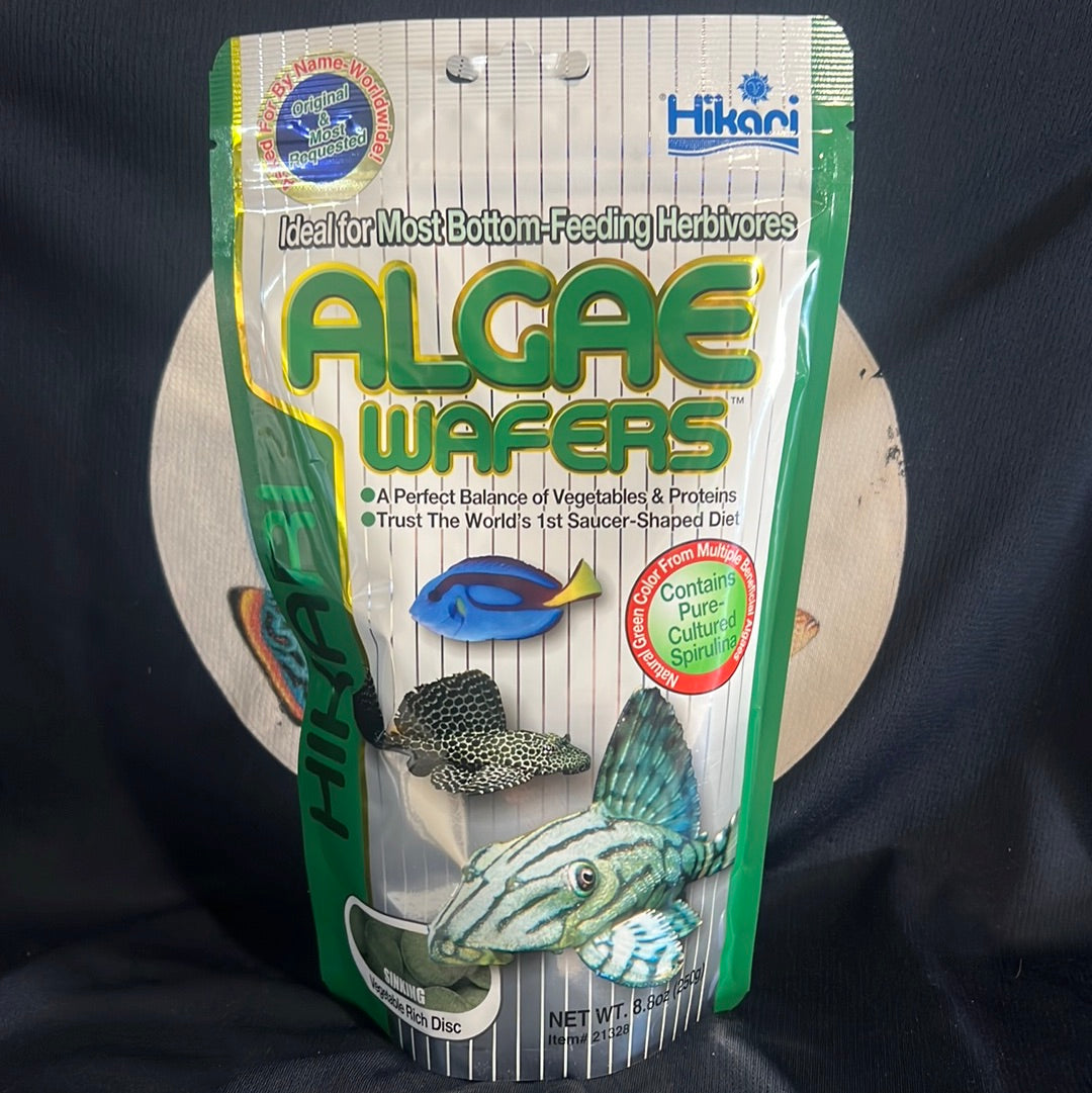 Hikari Algae Wafers