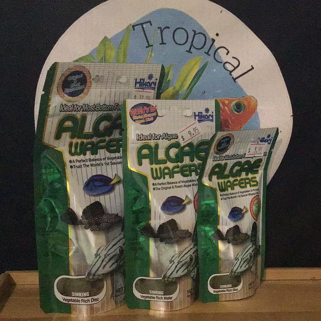 Hikari Algae Wafers