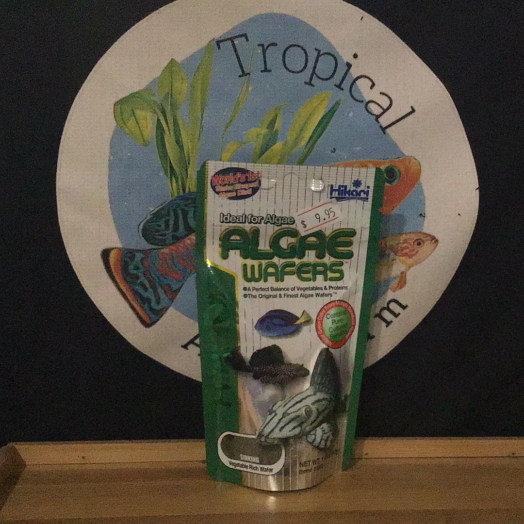 Hikari Algae Wafers