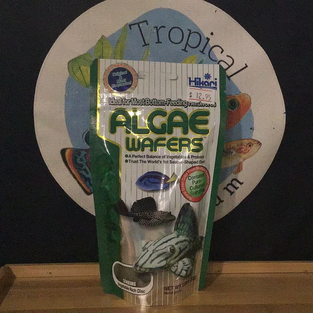 Hikari Algae Wafers
