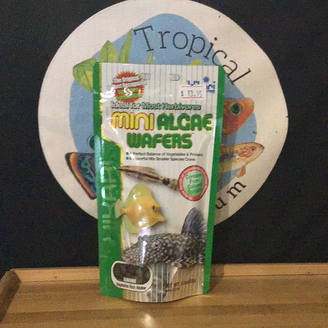 Hikari Mini Algae Wafers