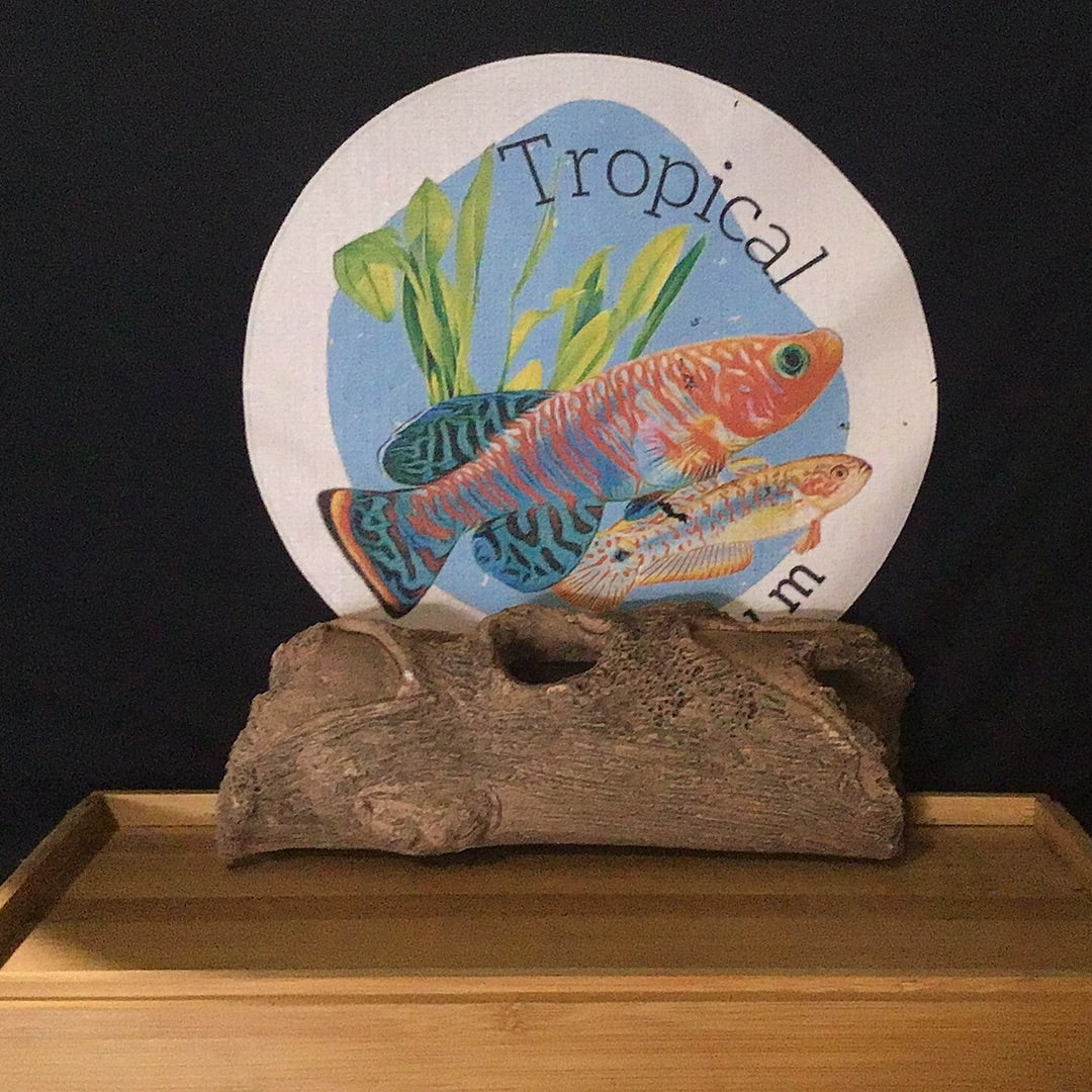 Ceramic logs
