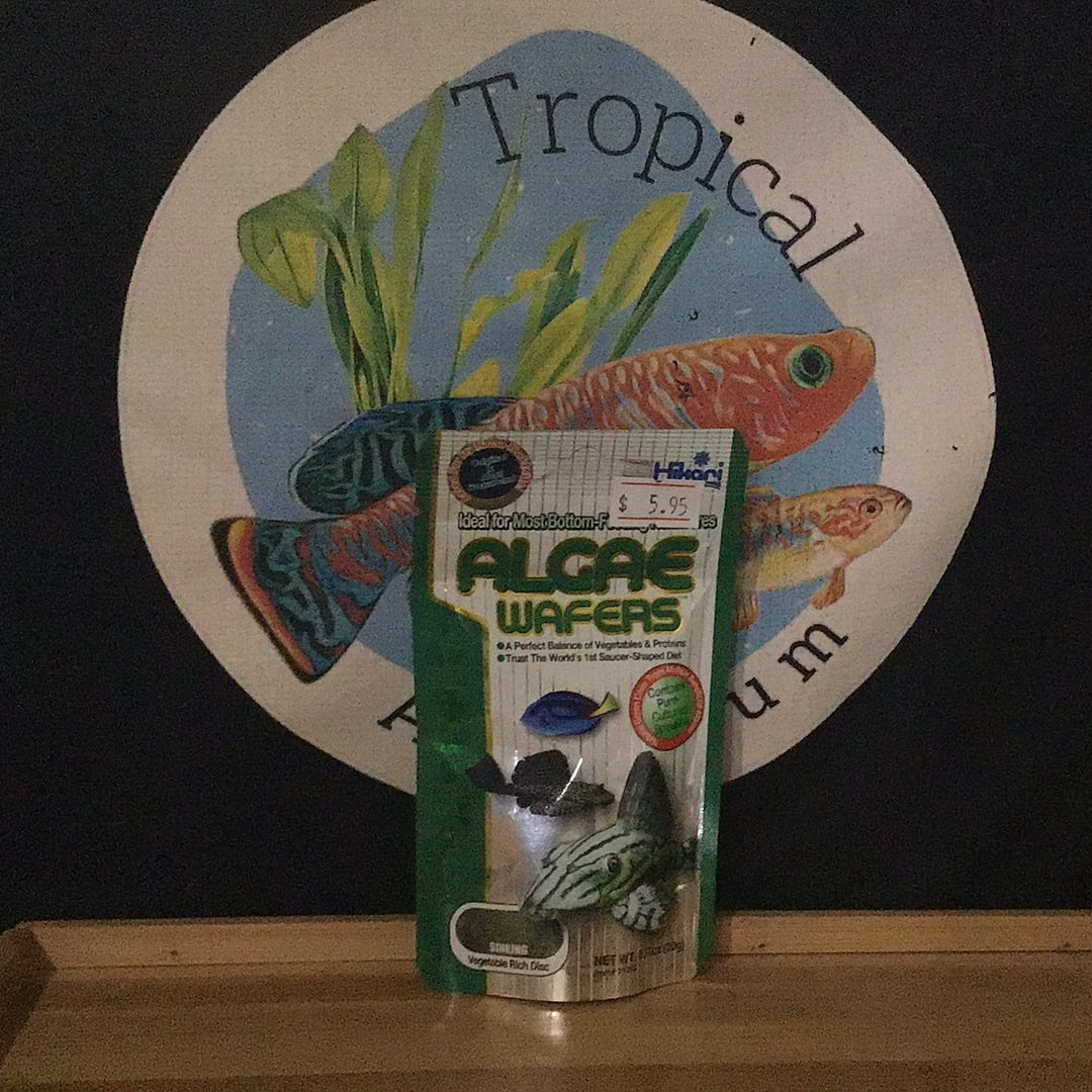 Hikari Algae Wafers