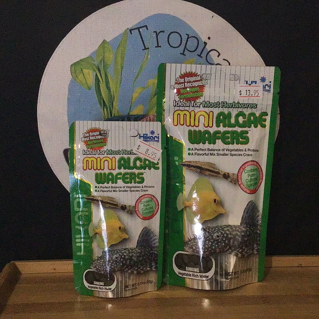 Hikari Mini Algae Wafers