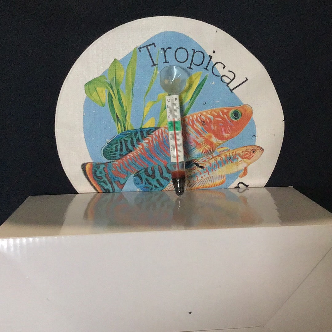 Glass Internal Thermometer With Suction Cup