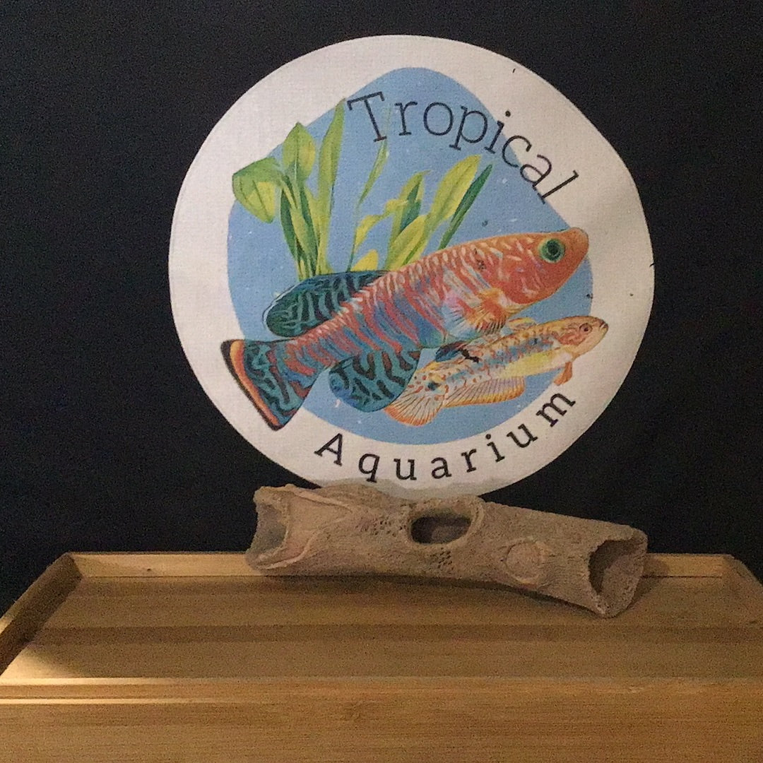 Ceramic logs