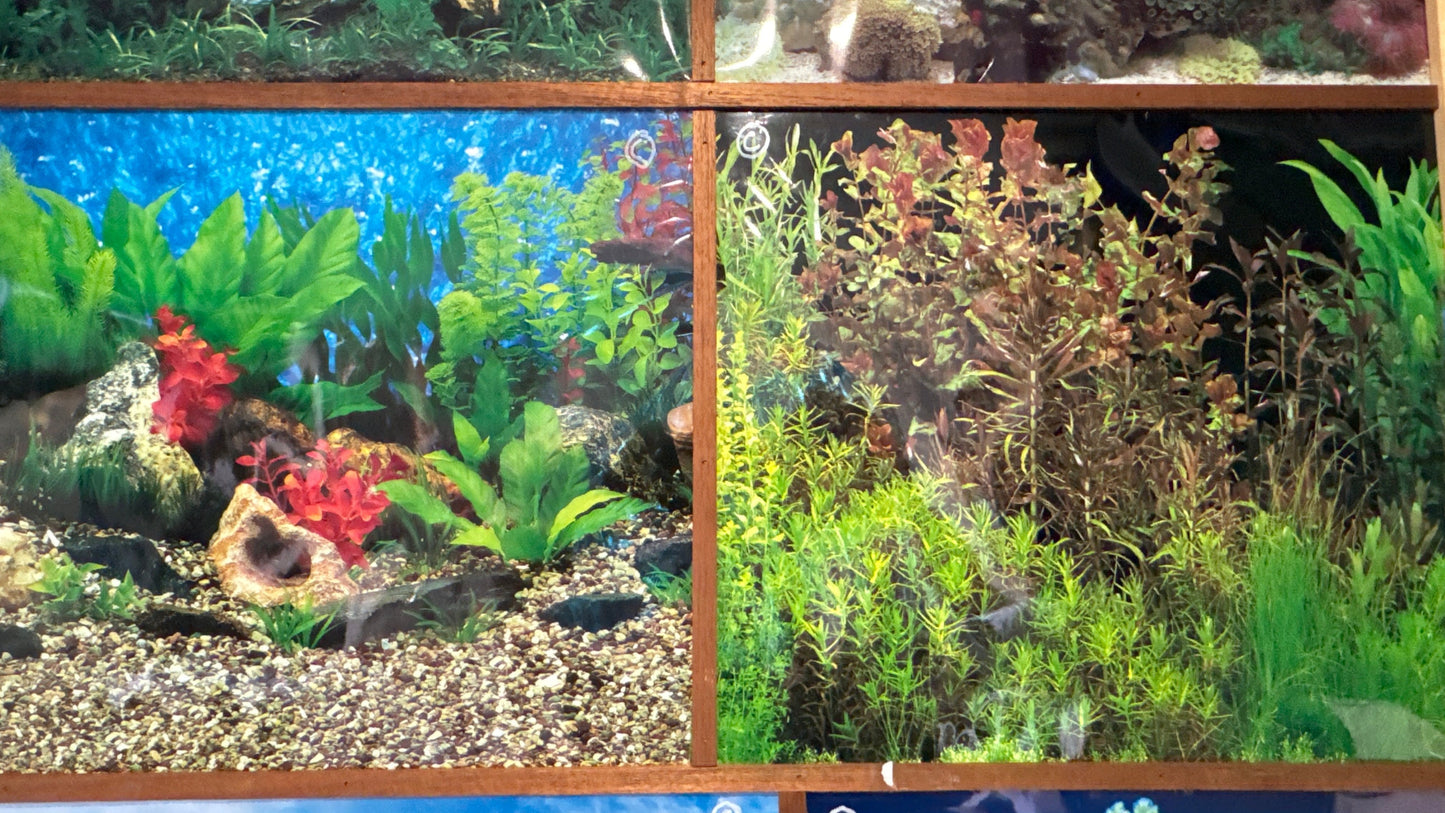 Aquarium Background (SOLD PER FOOT)