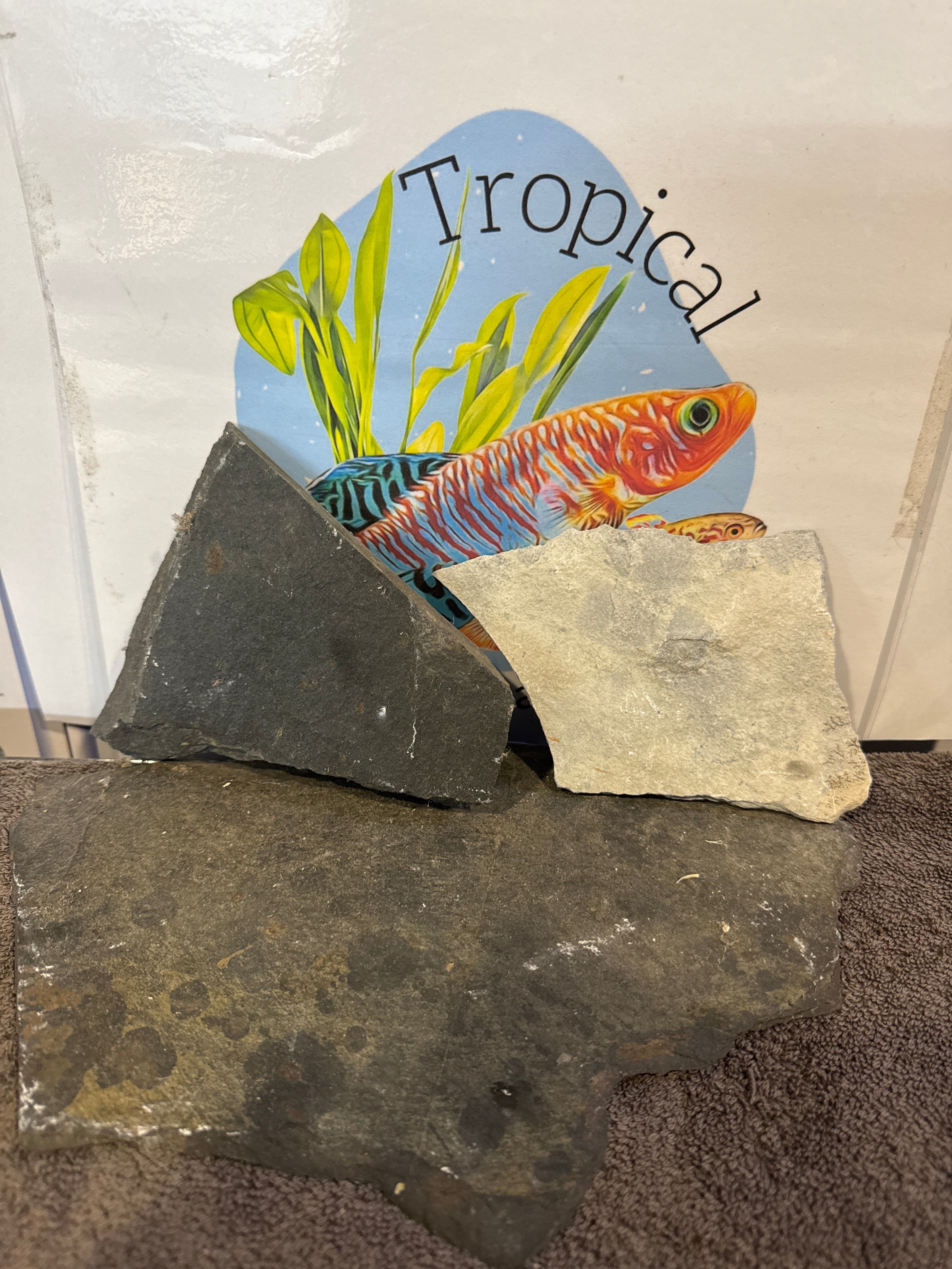 Offcuts slate offcuts – Tropical Aquarium