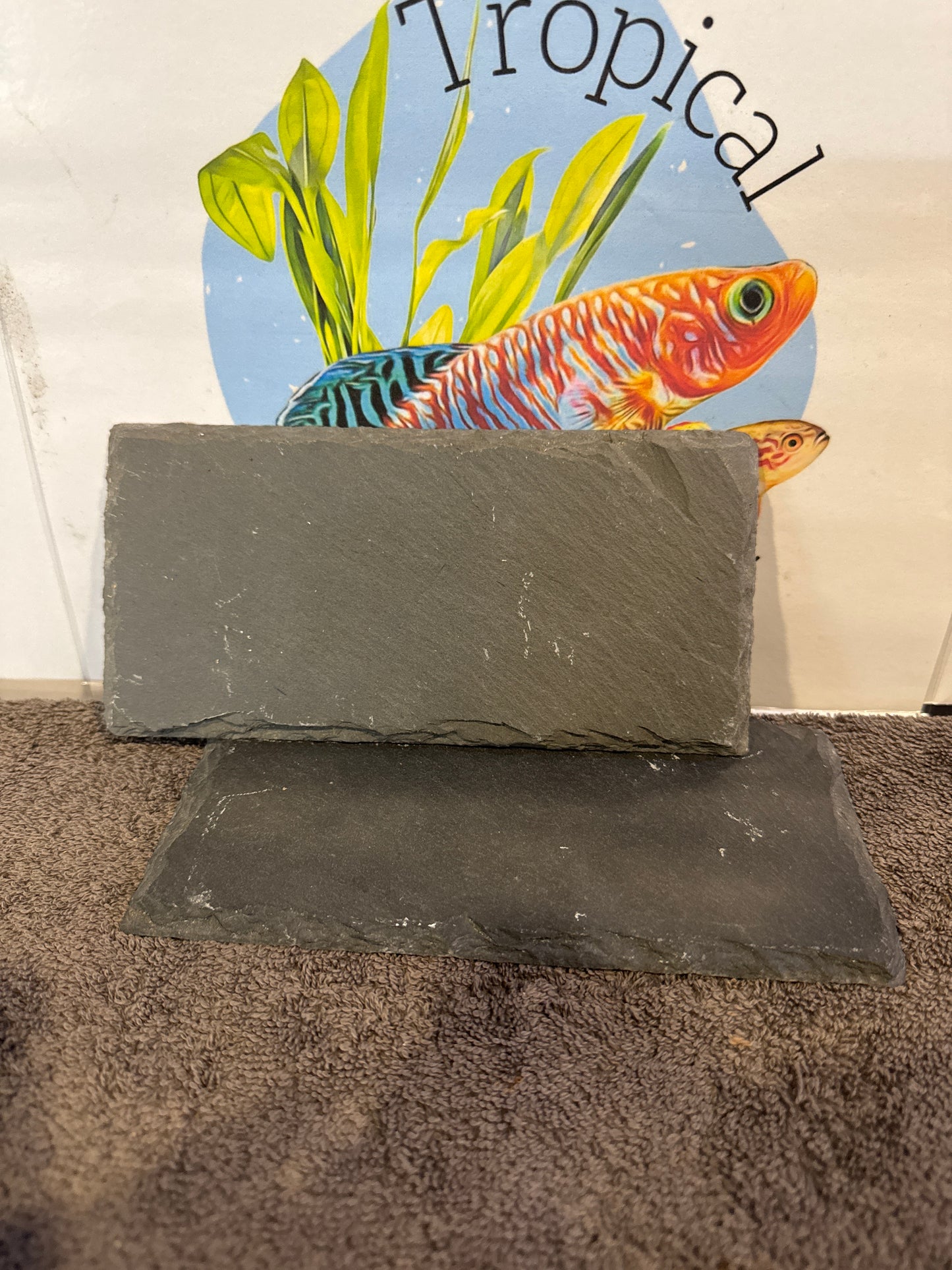 slate tiles 19x9cm