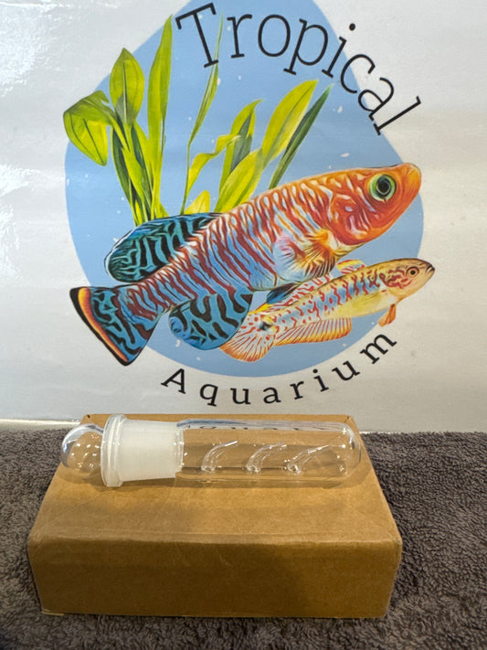 Planaria/worms glass trap