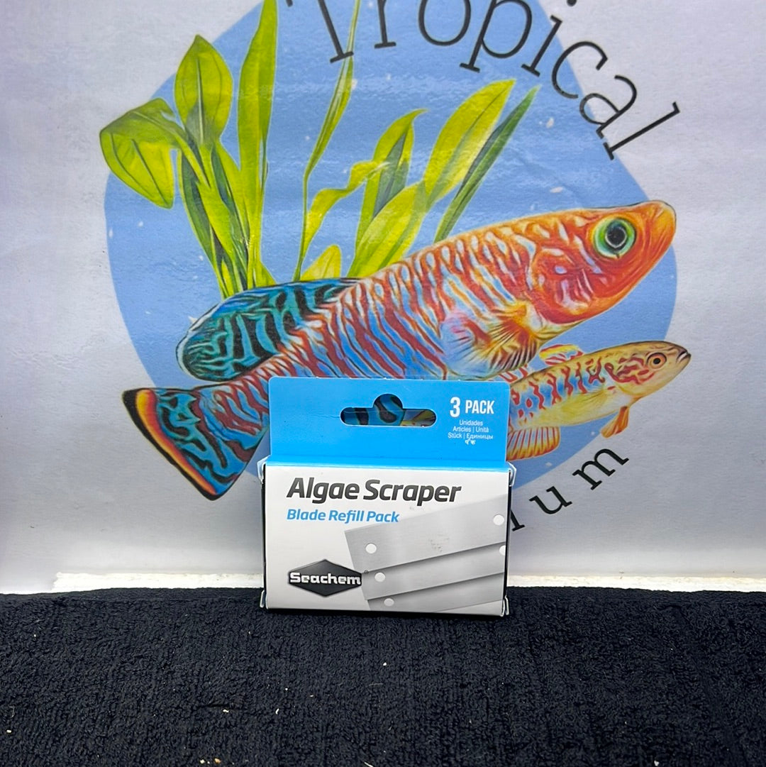 Algae Scraper Seachem