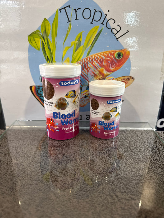 today's blood worms (freeze dried)
