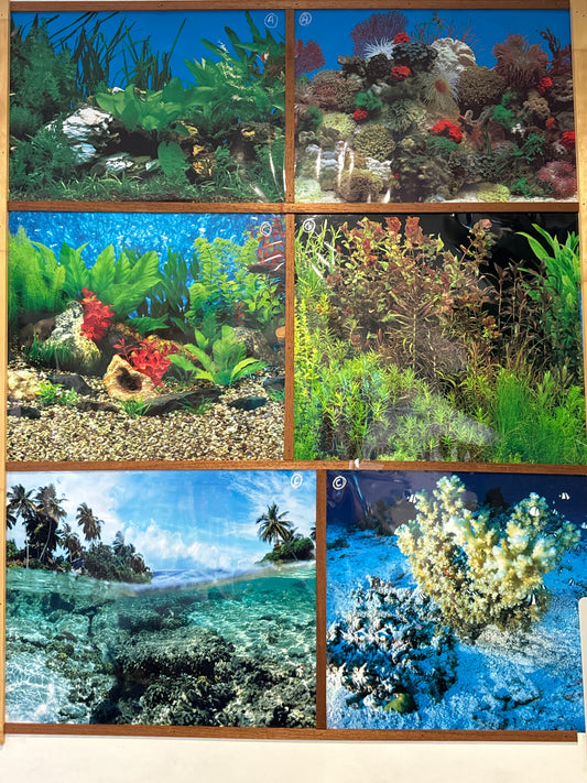 Aquarium Background (SOLD PER FOOT)