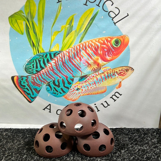 Shrimp accessories