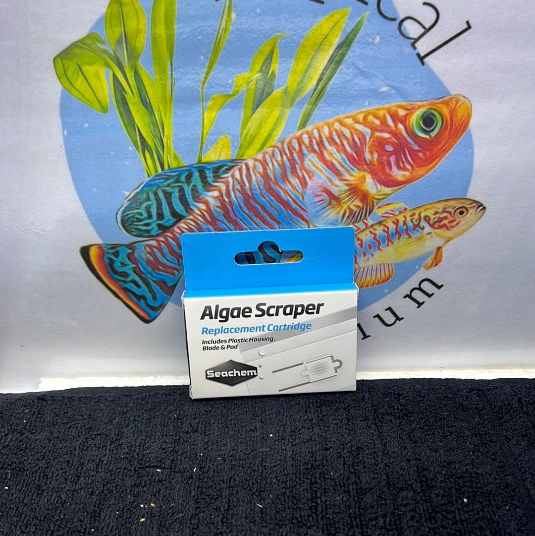 Algae Scraper Seachem