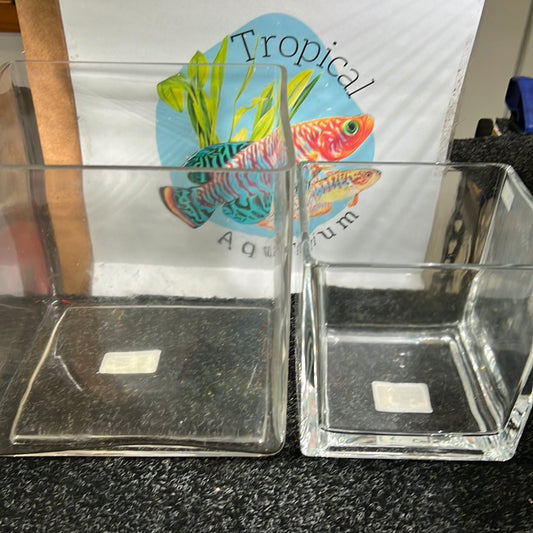Betta square glass tank