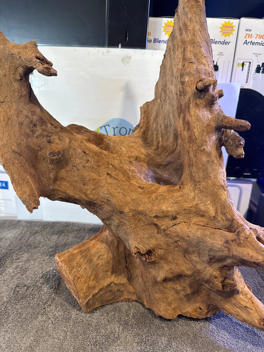 Orca Mangrove Root