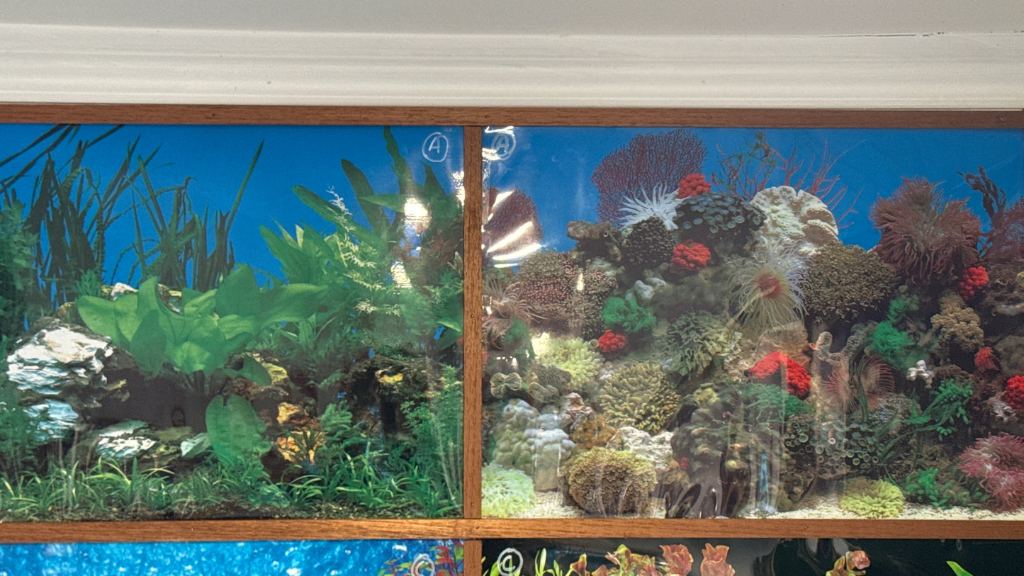 Aquarium Background (SOLD PER FOOT)