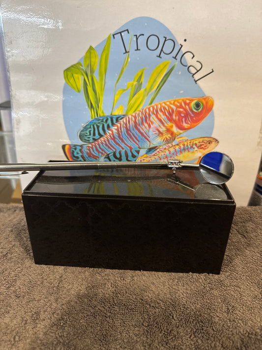 Betta Training Mirror